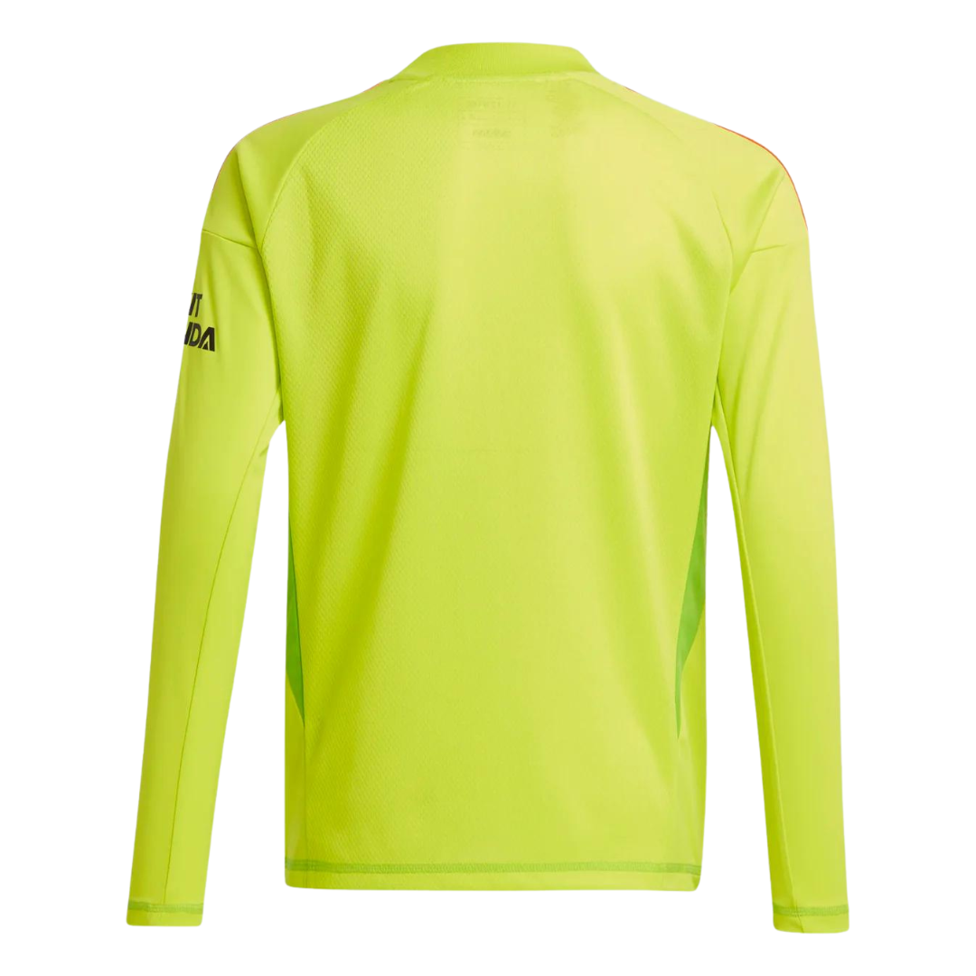 arsenal goalkeeper kit long sleeve